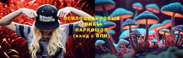 бутират Каменка