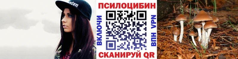 Псилоцибиновые грибы Magic Shrooms  Купить  Морозовск 